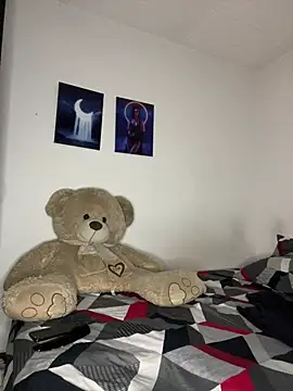 dominik_ire webcam