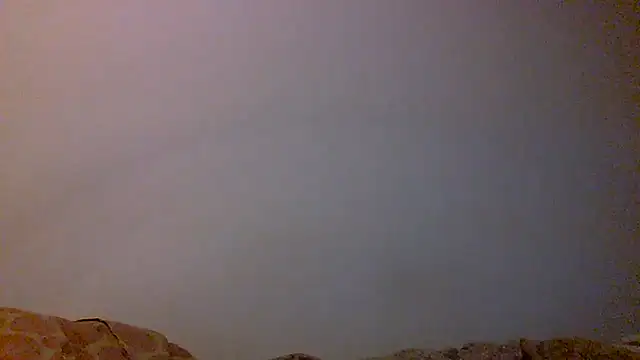 Kaappi1967 live cam on StripChat