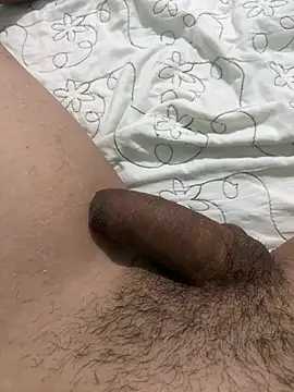dgofx live cam on StripChat