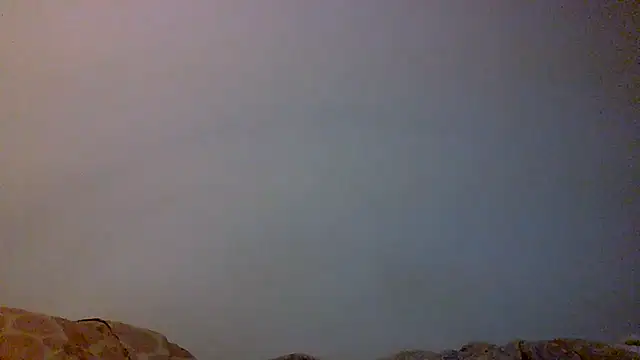 Kaappi1967 live cam on StripChat