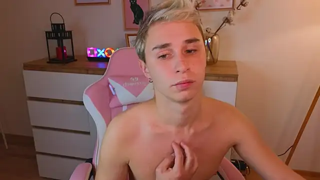 e1v1s webcam