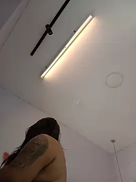 haileystone webcam