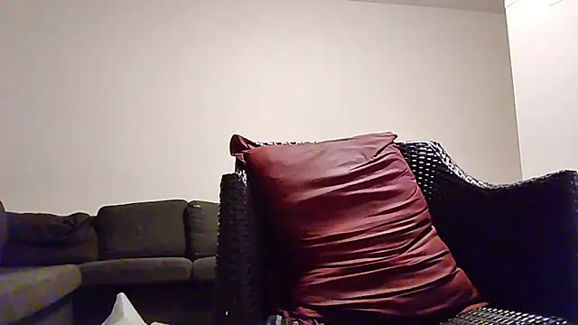Tyyson03 webcam