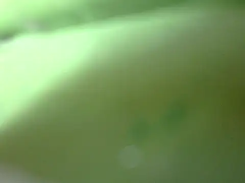 indianninza - Indianninza's free webcam - UK Sex Cams