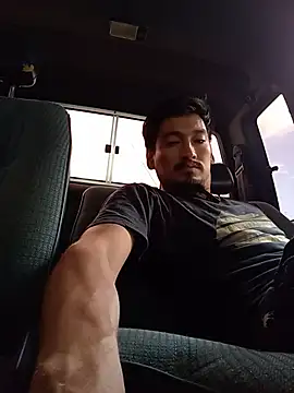 stefamholmes (M young) - Masturbating inside car