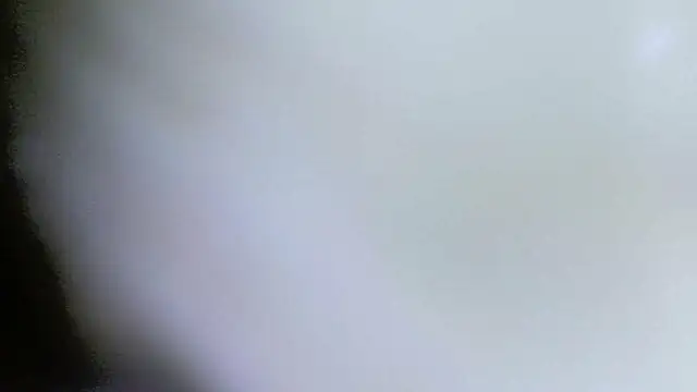 karol_stom