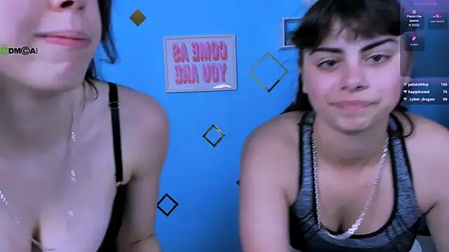 aria_wild_ webcam