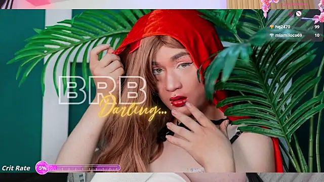 Victoria_Hiills webcam