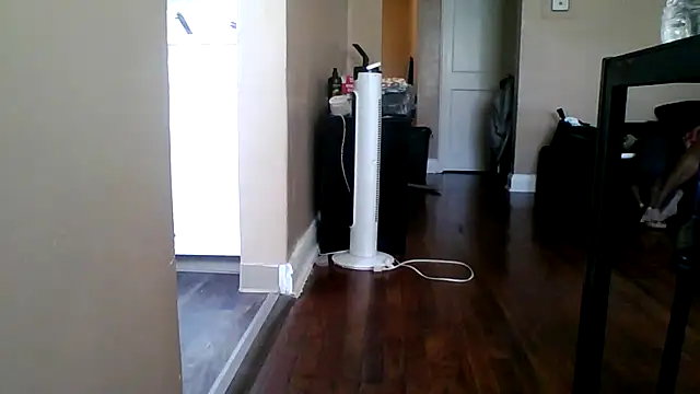 BedazedFirefly webcam