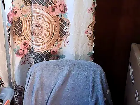 TsLibra webcam