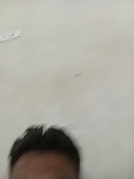 desivillageromance webcam