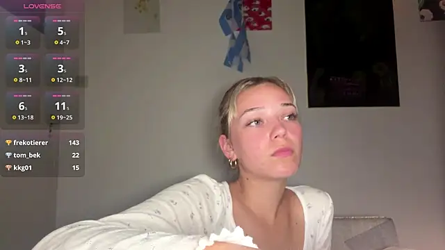 Kassejent webcam