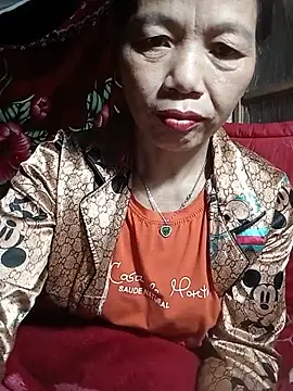 Elfledaa webcam