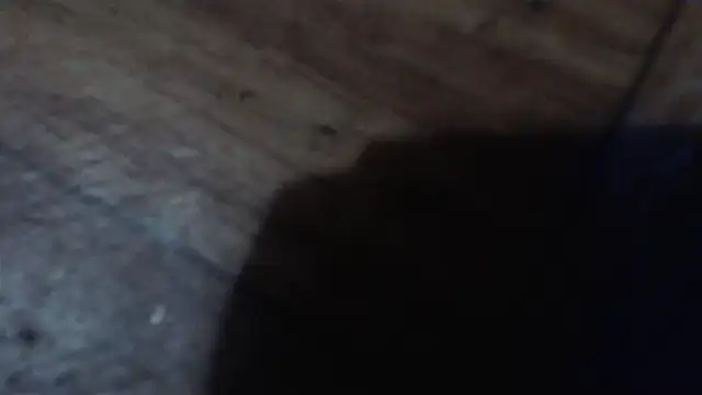 CharleyReidy webcam