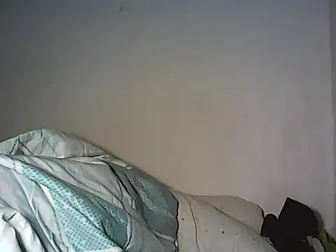 Artinah22 webcam