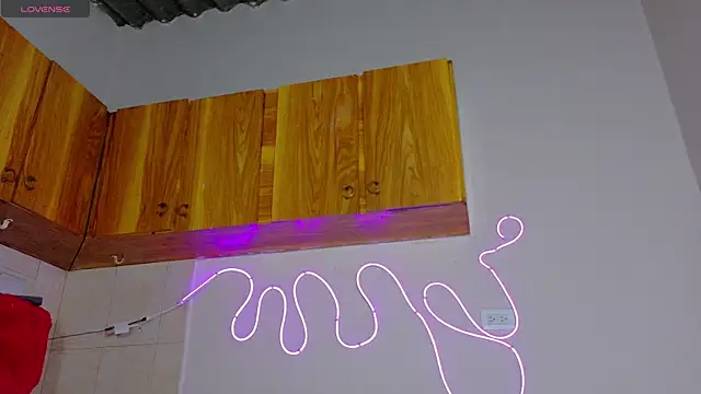 everlin_01 webcam