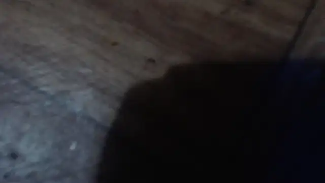 CharleyReidy webcam