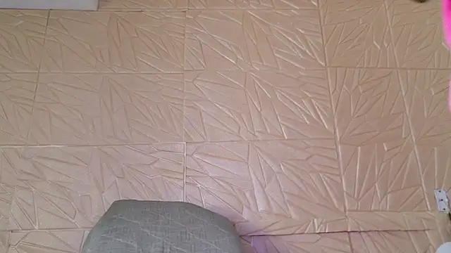 nina_bae webcam