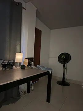 valery_and_Dani_ webcam