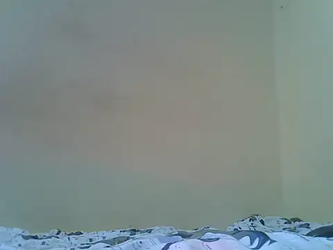 big_bootty96 webcam