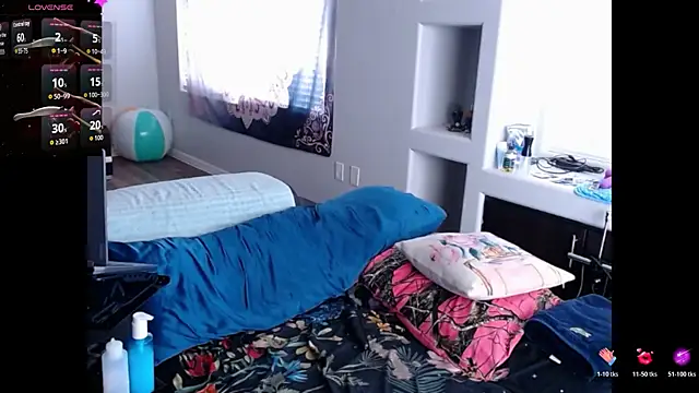 ReeseZen webcam
