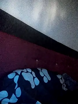 Tokioxx webcam