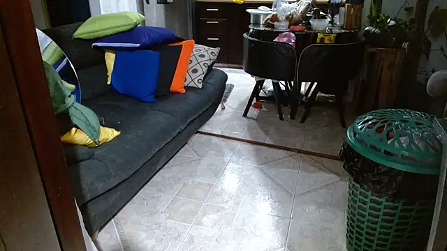 Diosasky webcam