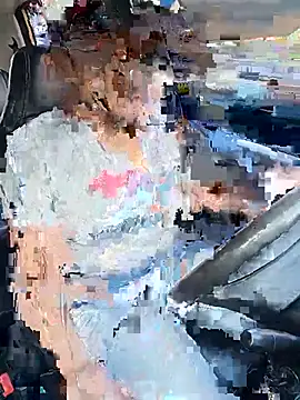 mosmar_20 webcam