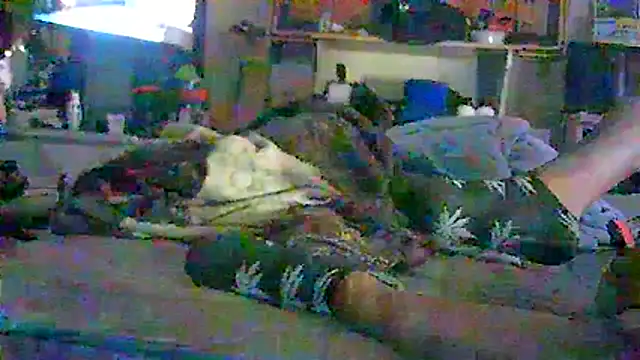 CR3M3_FIR3 webcam
