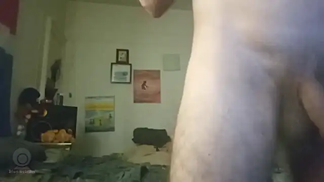 BaByArM81 webcam