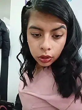 SOFIA-11_ webcam