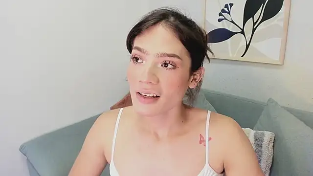 KassMonroe webcam