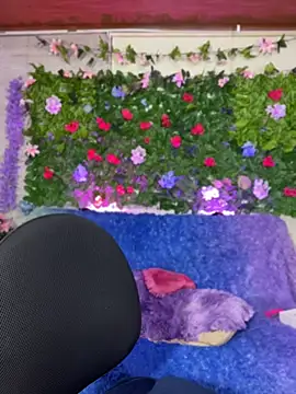 PamelaBoobs webcam