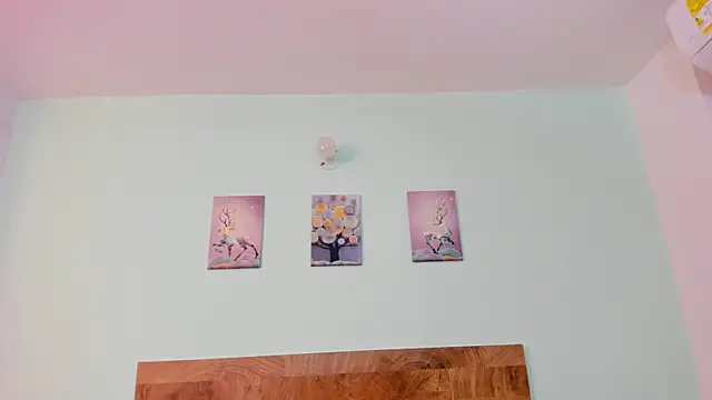 martinc_aria webcam