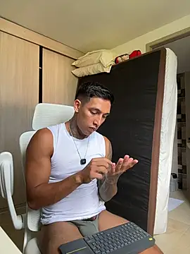 sendfer webcam