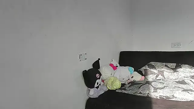 Eirlysx webcam