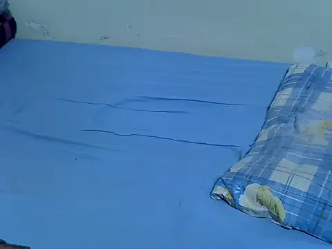 drowllie webcam