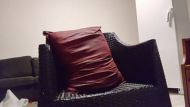 Tyyson03 webcam