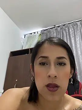 Lia-1212 webcam