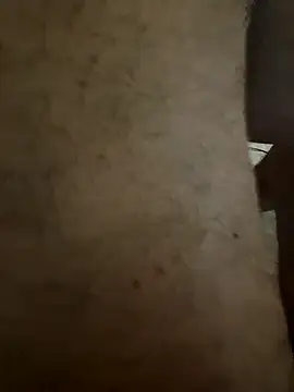 helios74831 webcam