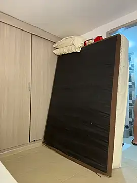 sendfer webcam