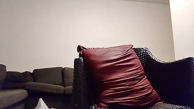 Tyyson03 webcam