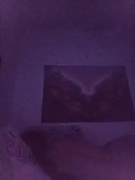 RoxyTattooo69