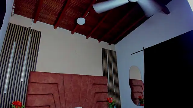 Tyson_Reed webcam
