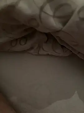 nojo19