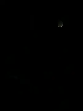 LeBimbo webcam