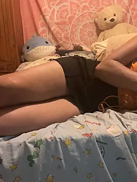 LaPetitechienne1 webcam