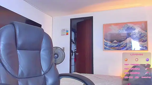 RJBarto webcam