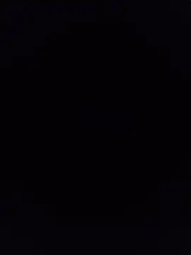 NAvoglia live cam