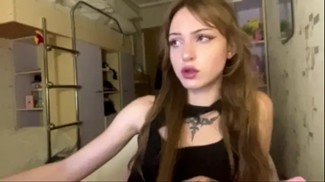 chipsis webcam